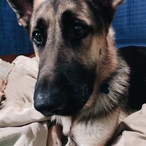 Meet your Posher, Elle